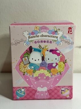 Sanrio To Our Youth, Blind Box Figure, Confirmed/Opened Hello Kitty